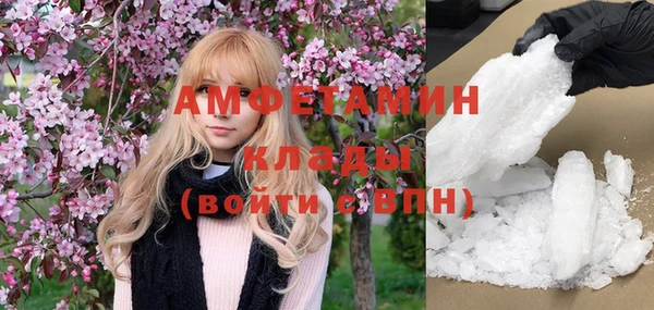 тгк Дмитриев