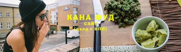 тгк Дмитриев