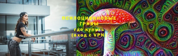 МДМА Дмитров