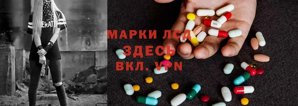 тгк Дмитриев