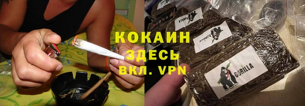 тгк Дмитриев