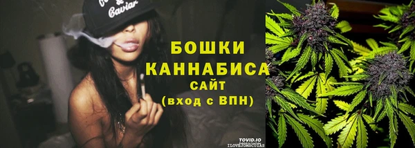тгк Дмитриев