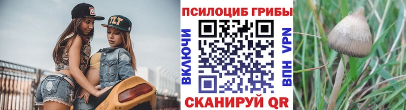 Купить  Искитим  Псилоцибиновые грибы мицелий 