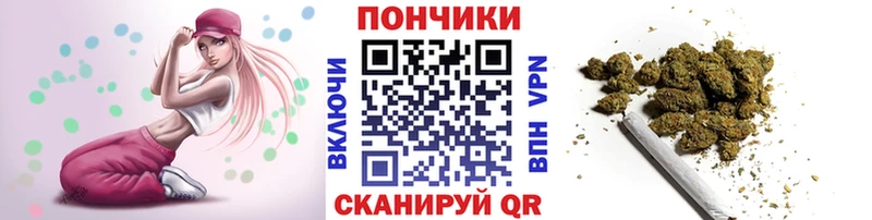 Бошки Шишки план  Купить  Искитим 